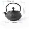 Cast Iron Teapot with Stainless Steel Infuser