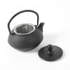 Cast Iron Teapot with Stainless Steel Infuser