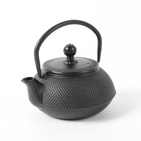 Cast Iron Teapot with Stainless Steel Infuser