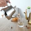Stainless Steel Gooseneck Stovetop Kettle